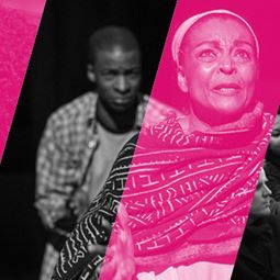 BAM Membership: Sign up